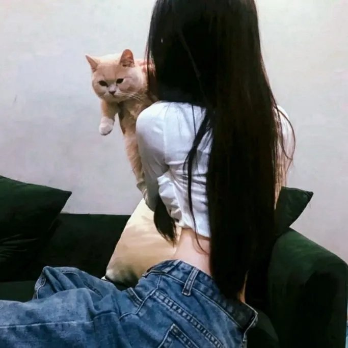 狐狸猎手