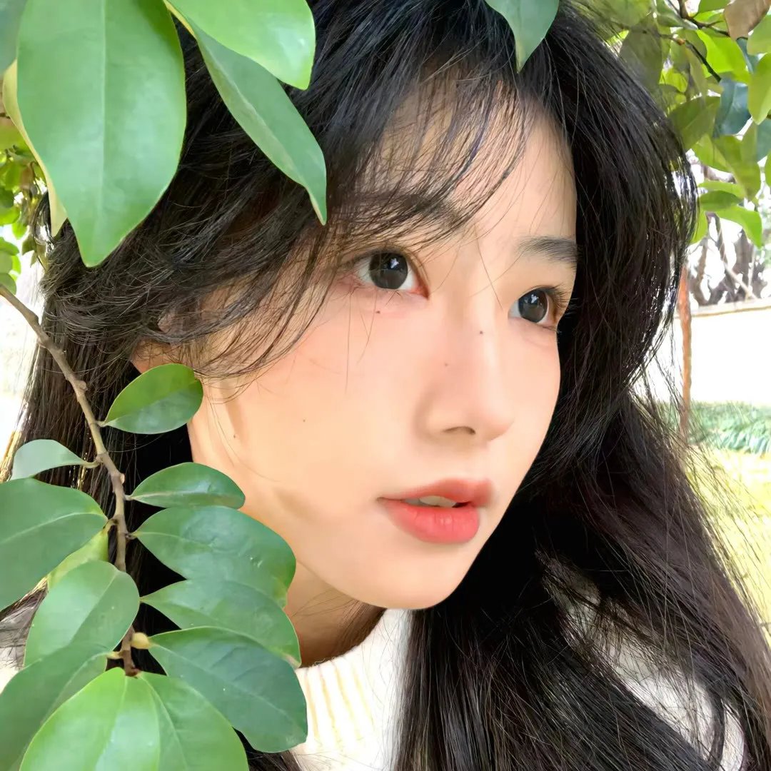 麦德兰：迷失在巴黎